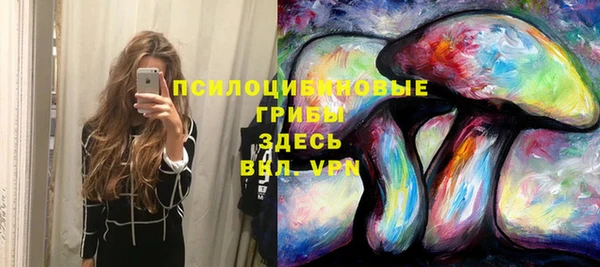 твердый Абинск