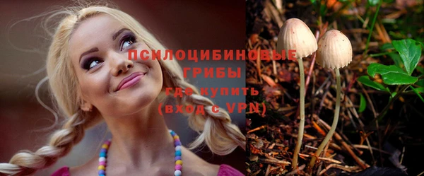 твердый Абинск