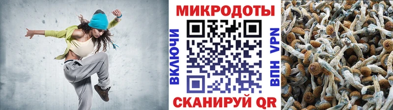 Галлюциногенные грибы Psilocybine cubensis  купить   Клинцы 