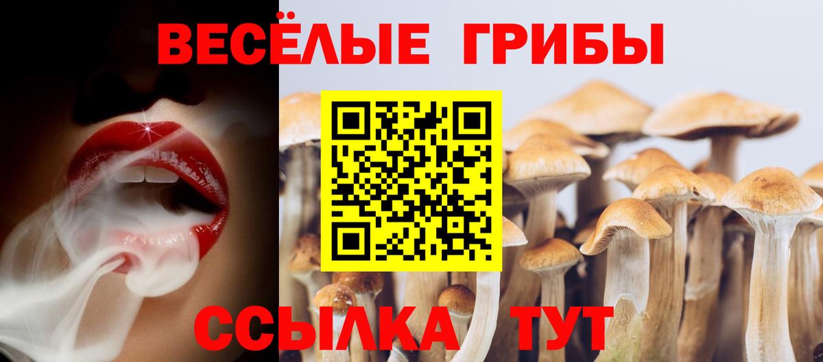 Галлюциногенные грибы прущие грибы  наркотики  Клинцы  Вход с VPN 